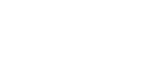 Bilitz logo